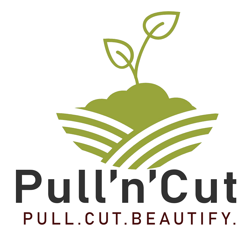 Pull n Cut